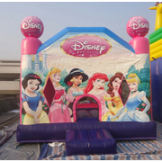  inflatable princess bouncer